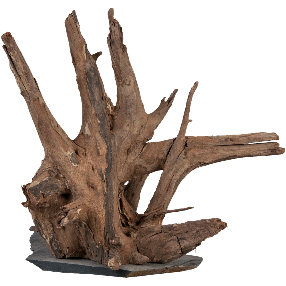 Sera Scaper Wood M - 18-20CM
