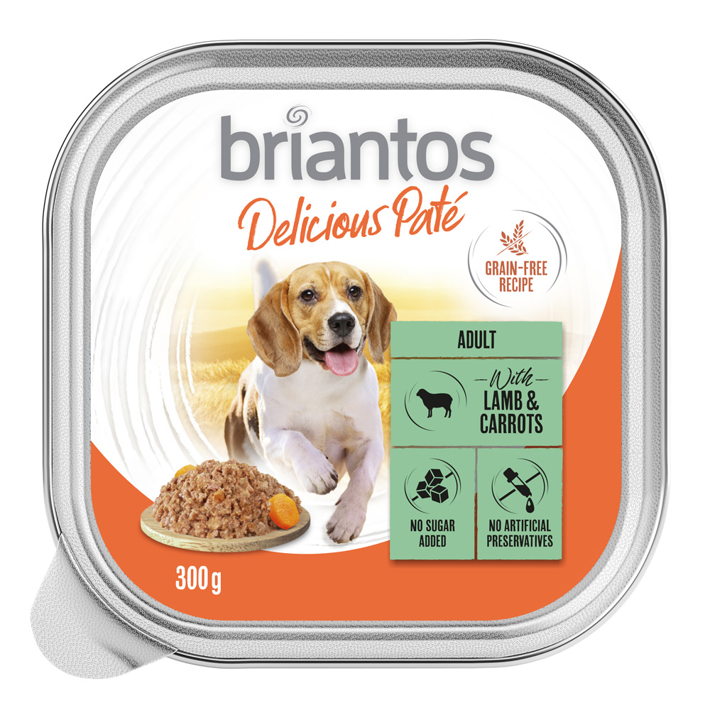 Briantos Delicious Paté 27 x 300 g - Kip