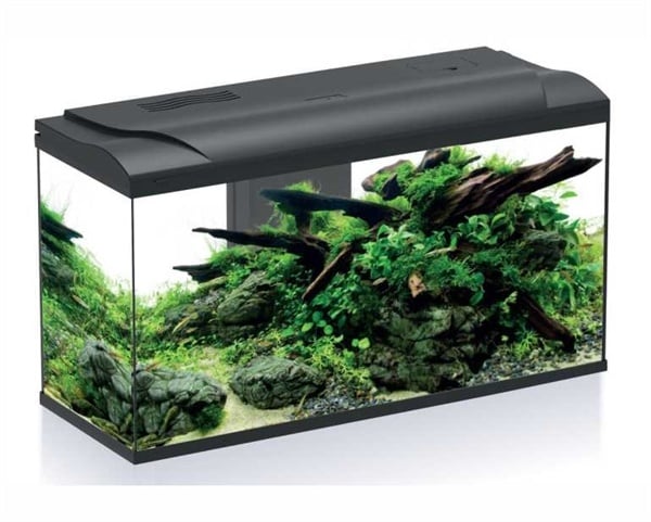 HS Aqua Aquarium Platy Bio 110 LED | 110L | 80 x 31 x 46CM Zwart Compleet