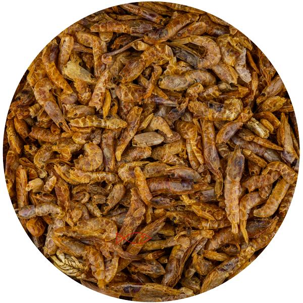 Junai.nl Garnalen 2-4cm 375 gram