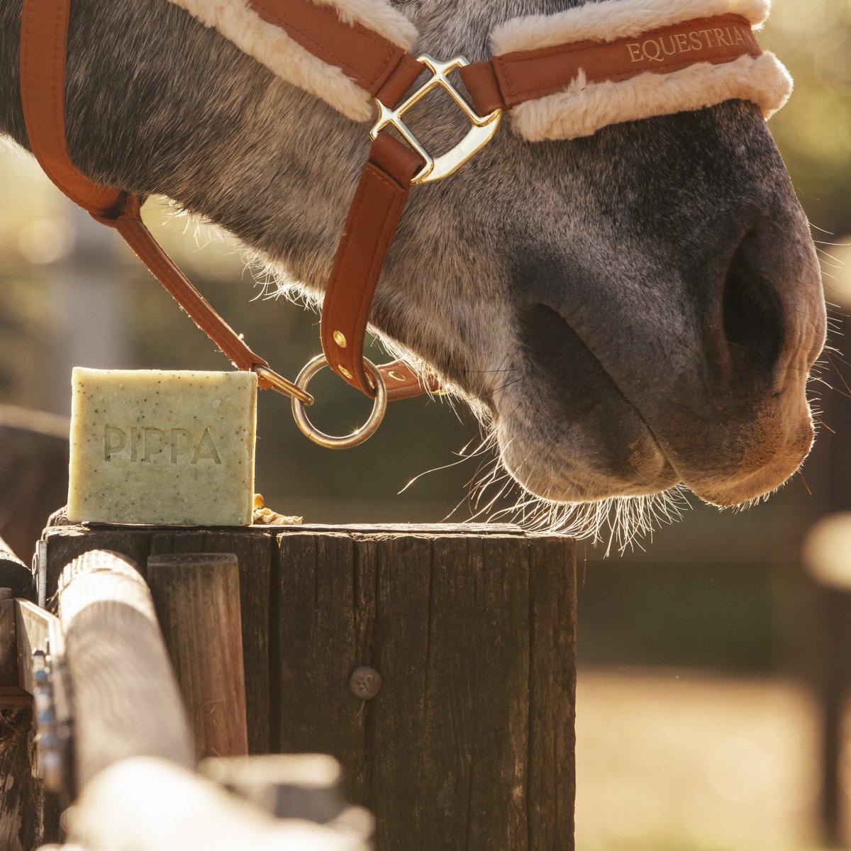 PIPPA Equestrian Soap PIPPA Paardenshampoo Poppy Seed & Lime