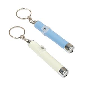 Zooplus Basics 2 stuks  LED laser pointer 1.3x8cm kattenspeeltje