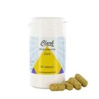 Holisan Multivitamine 50tab