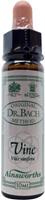 Ainsworths Vine bach 10ml