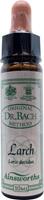 Ainsworths Larch bach 10ml