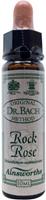 Ainsworths Rock rose bach 10ml