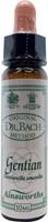 Ainsworths Gentian bach 10ml