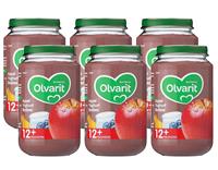 Olvarit 12m54 Appel Yoghurt Bosbes