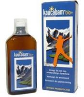 Mattisson HealthStyle Kaucabam Kefir Concentraat Drank Bio 500ml