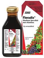 Salus Elixer Floradix 250ml