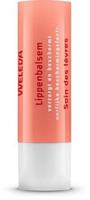 Weleda Everon LippenPflege Lippenbalsam  Transparent