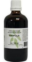 Natura Sanat Propolis Tinctuur 100ml