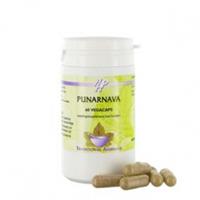 Holisan Punarnava Capsules