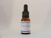 Indigo Essences Hematite 15 ml