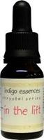 Indigo Essences In the lift 15 ml