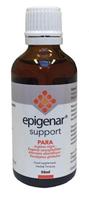 Epigenar Support PARA