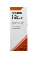 Pekana Reudol spag (apo rheum) 50ml