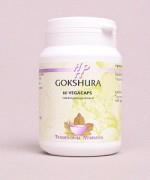 Holisan Gokshura Capsules 60st