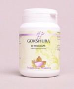 Holisan Gokshura Capsules 60st