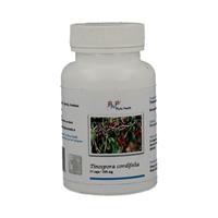 Phyto Health Pharma Phyto Health Tinospora Cordifolia