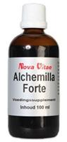 Alchemilla forte