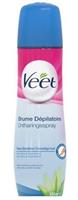 Veet Enthaarungsspray