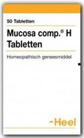Mucosa comp. H