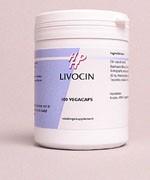 Holisan Livocin Capsules 100st