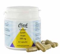 Holisan Gember/Shunti Clark Capsules 63st