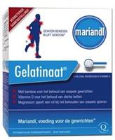 Mariandl Gelatinaat 500gr