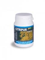 Provera Vera-Sana Citripur