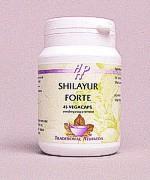 Holisan Shilayur Forte Capsules