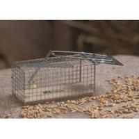 Nature Ratten-Lebendfalle 27,5 x 9,5 x 9,5 cm 6060105 Silber