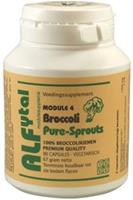 Alfytal Broccoli Pure Sprouts Capsules