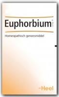 Heel Euphorbium Compositum Tabletten 250st