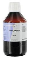 Holisan Pancrayur 250ml