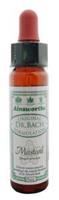 Ainsworths Mustard bach 10ml