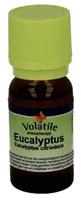 Volatile Citroen Eucalyptus (Eucalyptus Citriodora) 10ml