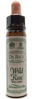 Ainsworths Wild rose bach 10ml