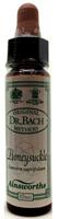 Ainsworths Honeysuckle bach 10ml