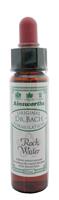 Ainsworths Rock water bach 10ml