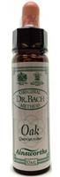 Ainsworths Oak bach 10ml