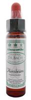 Ainsworths Hornbeam bach 10ml