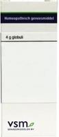 Vsm Chelidonium Majus D4 Druppels 20ml
