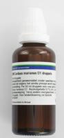 Vsm Carduus Marianus D1 Druppels 50ml