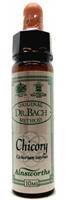 Ainsworths Chicory bach 10ml