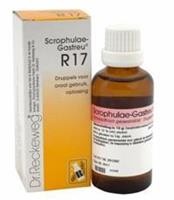 Reckeweg Scrophulae gastreu r17 50ml