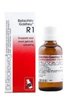 Reckeweg Belachin gastreu r1 50ml