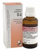 Reckeweg Entero gastreu r4 50ml