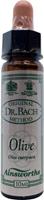 Ainsworths Olive bach 10ml